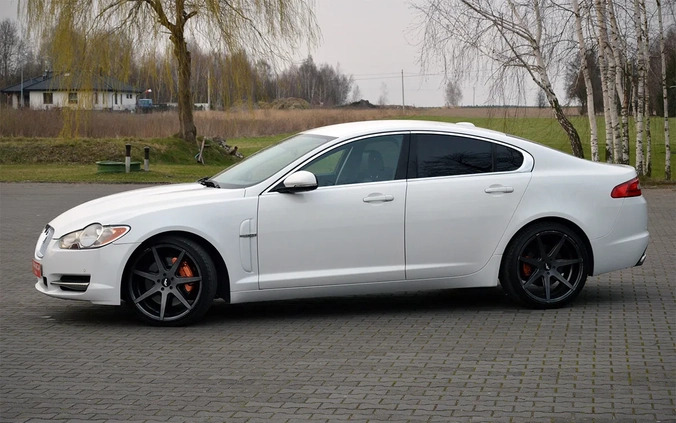 Jaguar XF cena 49900 przebieg: 219000, rok produkcji 2011 z Piwniczna-Zdrój małe 781